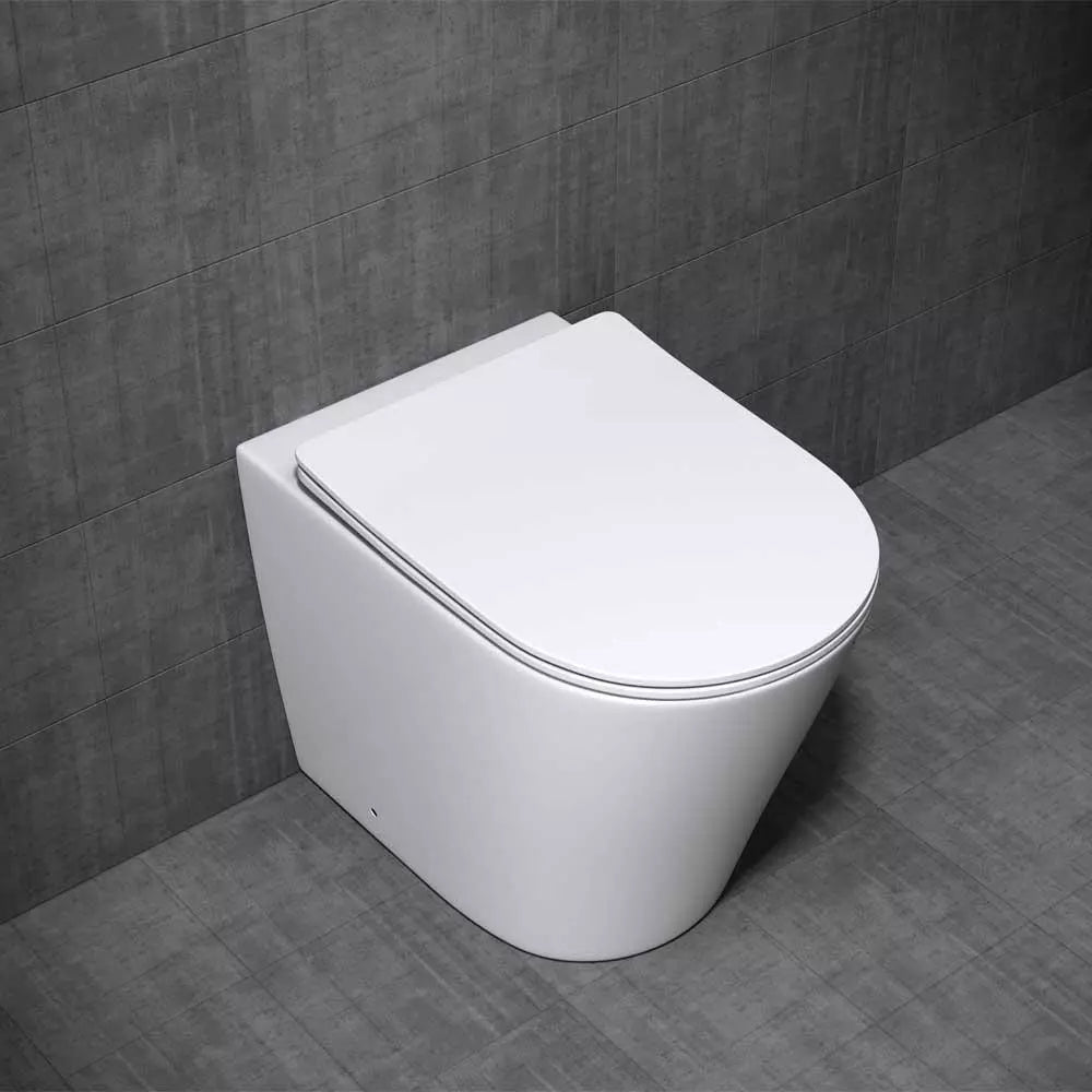 Toilets type