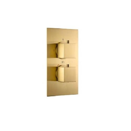 ATC Maya Concealed Valve Twin Outlet - Brushed Brass