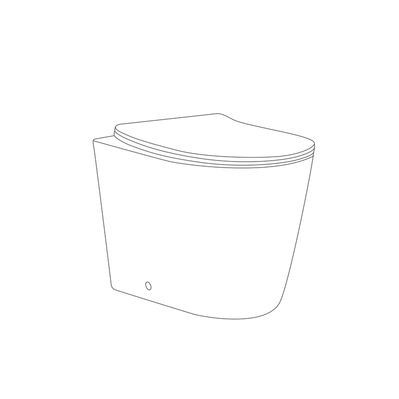 Banyetti Scene Rimless Back to Wall Toilet - Matt Black